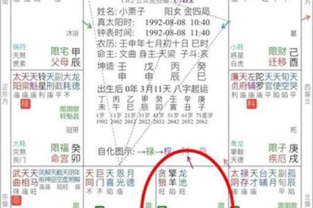 紫薇斗数行限推算法书价格