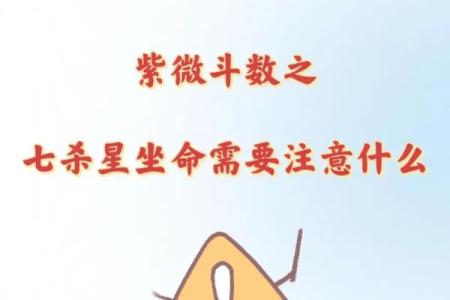紫薇斗数七杀平