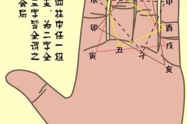 怎么算命用手就行
