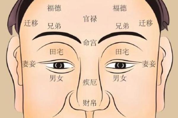 六害眉面相算命图解