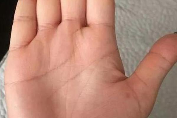 风水手相：川字掌女人的命运是不是不好