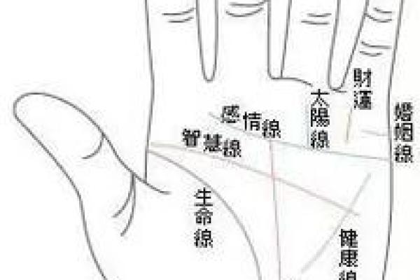 手相算命，从手相看你聪明度有多高？