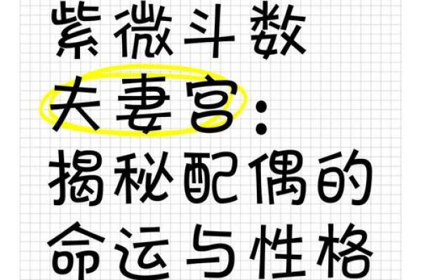 紫薇斗数夫妻天才