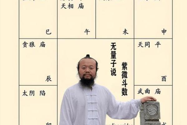 紫薇斗数看创业用什么宫位