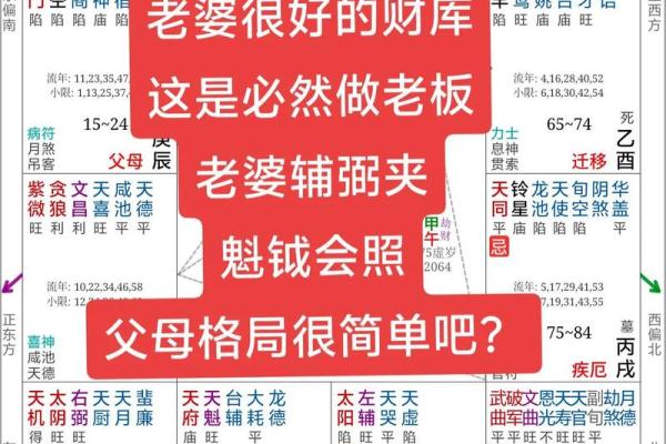 紫薇斗数事业有成