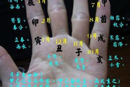 怎么算命用手就行