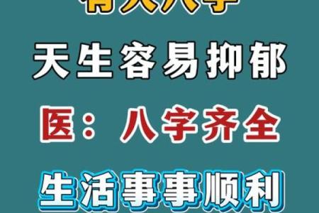 八字缺木土多从事什么行业好
