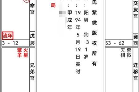 神巴巴紫薇斗数排盘