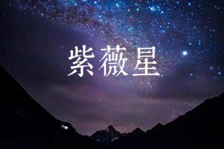 紫薇星年运势
