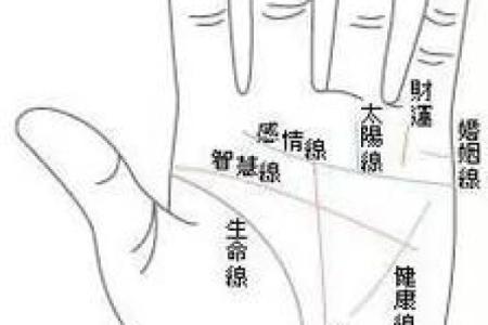 手相算命，从手相看你聪明度有多高？