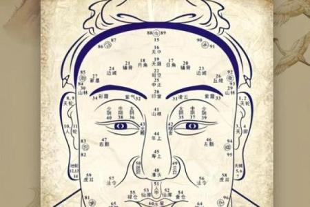 紫微斗数诸星落诸宫之：贪狼星官禄宫详解