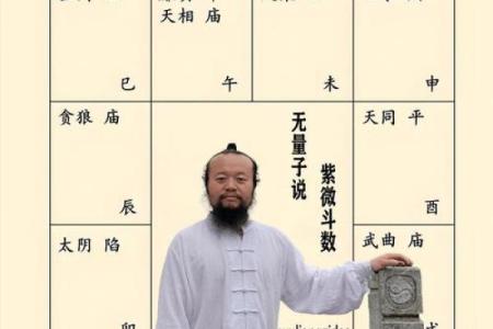 紫薇斗数看创业用什么宫位
