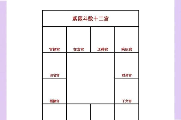 紫薇斗数科在命宫
