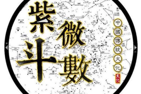 紫微斗数副曜 紫微斗数 副星？