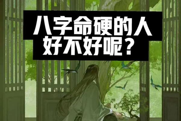 命硬八字