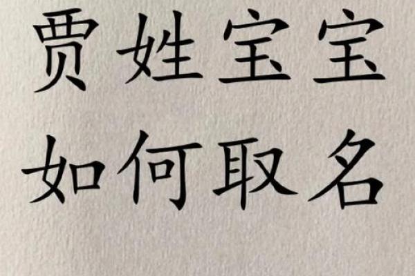 贾姓男孩名字大全-贾姓男孩起名字大全-贾姓名字大全姓名