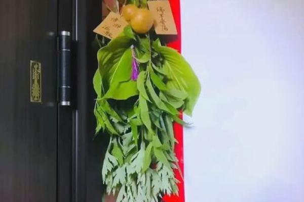 艾草一直挂门上好吗影响家居风水吗