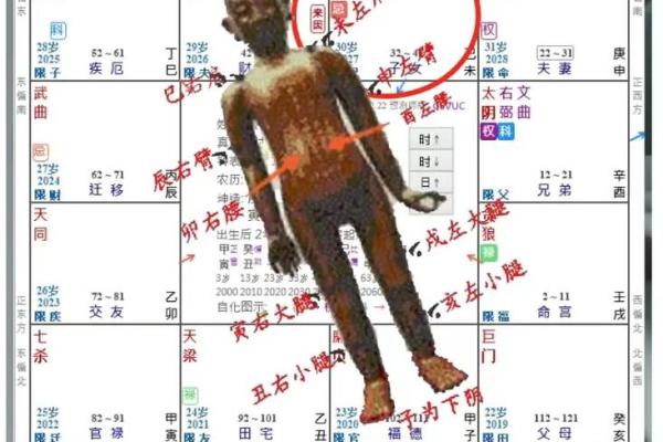 紫薇斗数高人解盘