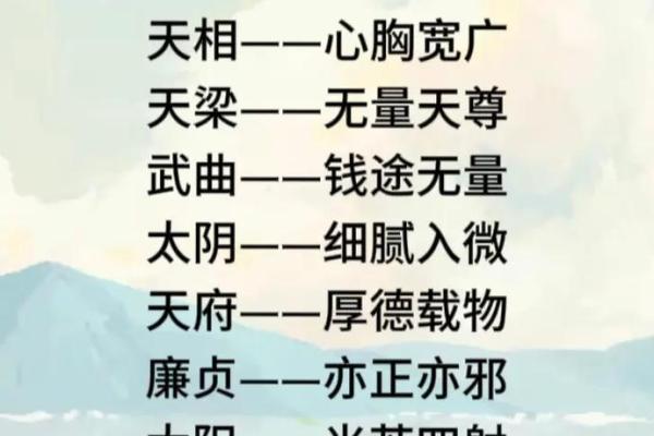 紫薇斗数14颗星代表什么