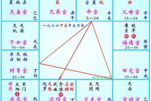 免费紫薇斗数详解