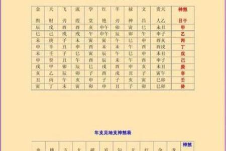 八字命宫带太阳
