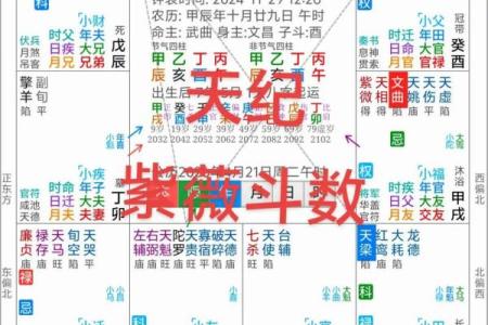 紫薇星盘什么意思