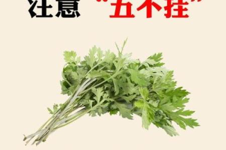 艾草一直挂门上好吗影响家居风水吗