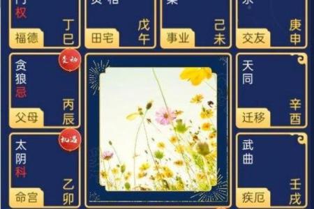 紫薇斗数飞入星