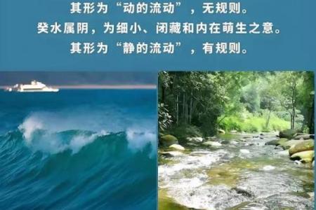 风水先生：人世间最上乘的风水