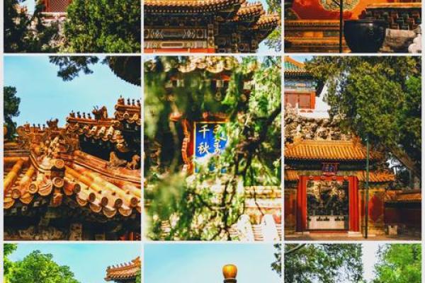 风水学说_北京故宫御花园种了好多柏树