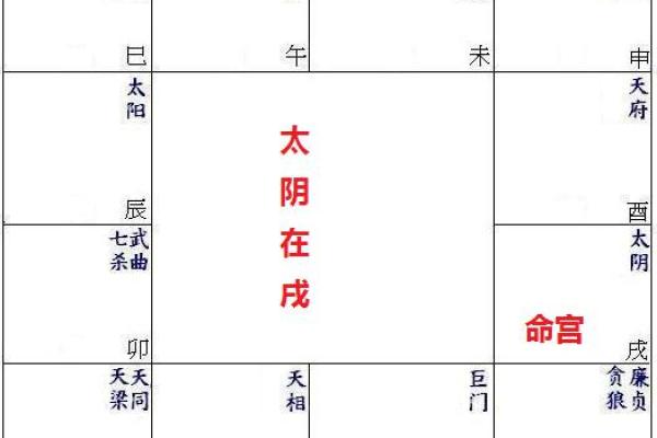 紫薇斗数的太阴