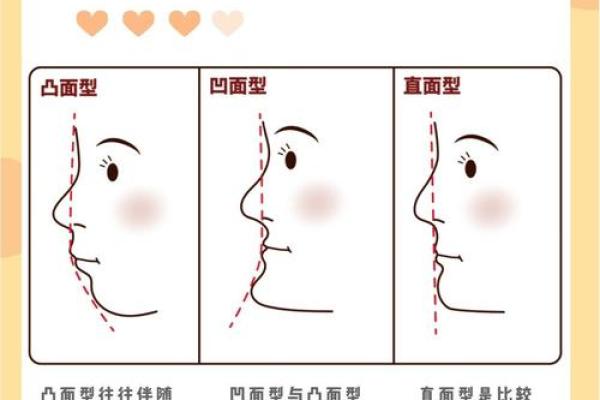 26种面型算命图解! 26种面型算命图解!