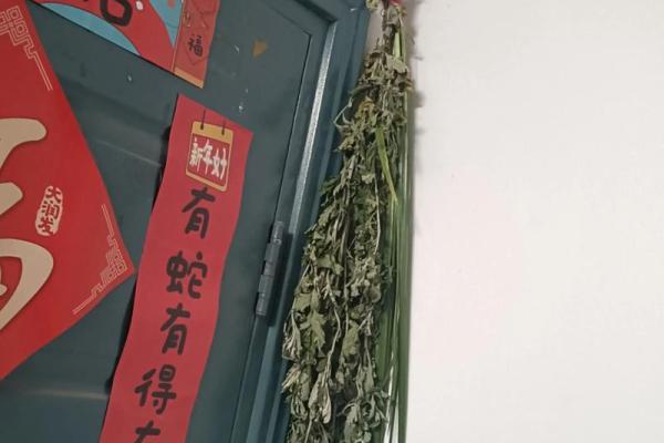 艾叶干了还能挂门上吗还有风水效果吗