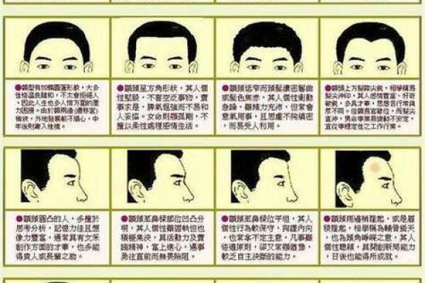 看鼻子面相算命大全