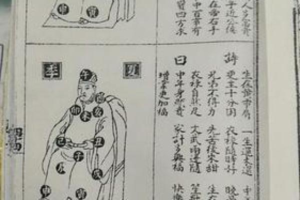算命不求人农历算命法女