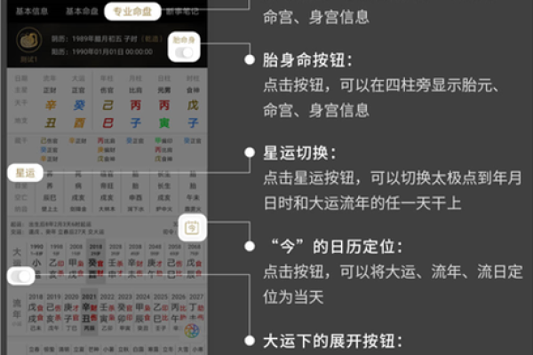 八字排盘软件免费版