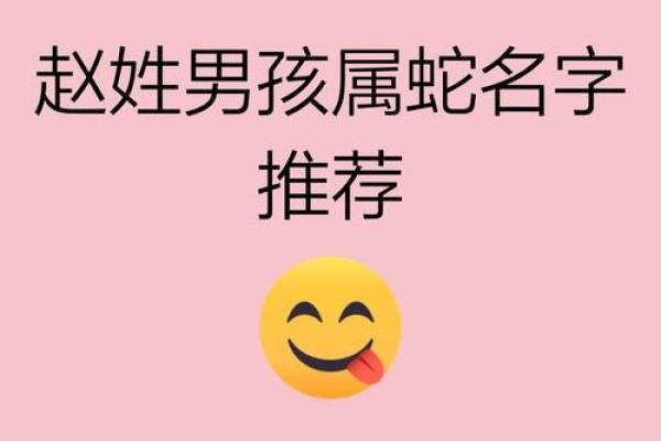 12月份出生的属蛇男孩起什么名字好姓名