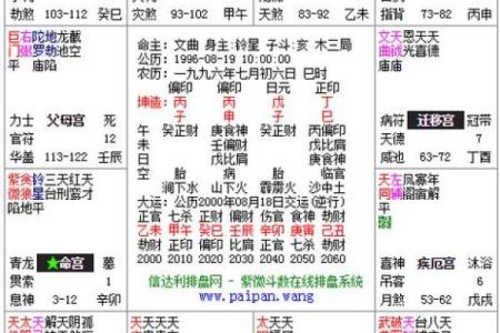 看紫薇斗数贪狼