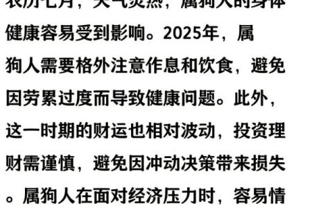 1994年生肖狗命的八字分析与运势预测