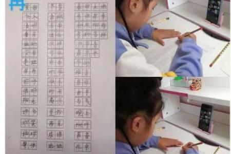 2019年3月16号辛时出生的男孩要怎么起名字姓名