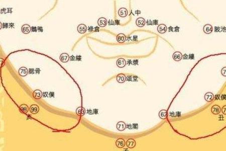 紫微斗数诸星落诸宫之：廉贞星奴仆宫详解