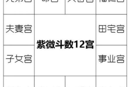 出生时间与紫薇斗数