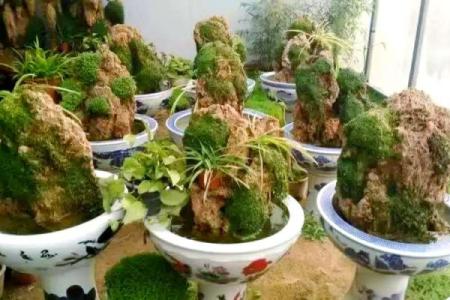 上水石风水究竟有什么风水宜忌呢
