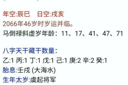 八字排盘软件免费版