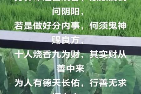 穷算命富烧香，大富大贵看风水