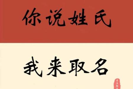 2019年3月12号子时出生的男孩应该起什么样的名字姓名
