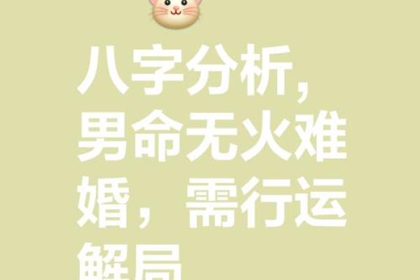 八字看妻财,妻财临朱雀