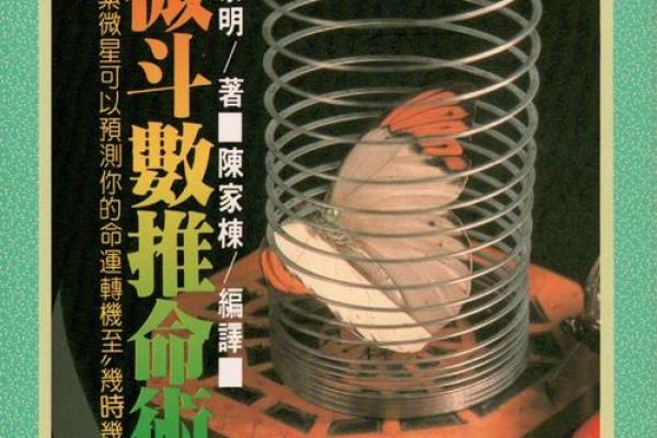 紫薇斗数书店有吗