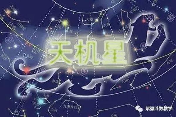 军师府紫薇斗数高级