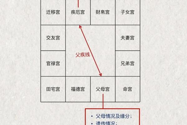 紫薇斗数紫府